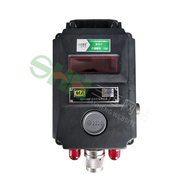 GLH100(A)礦用硫化氫傳感器